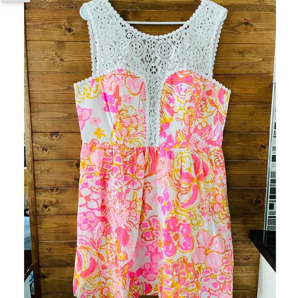 Raegan Dress Resort White Happiness Is Lace Pink Preppy Retro Lilly Pulitzer  14